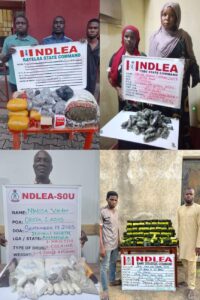 NDLEA Arrests Two Drug Kingpins In Lagos