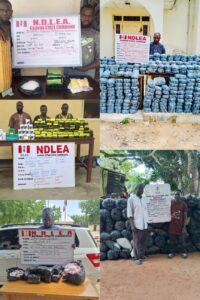 NDLEA Arrests Two Drug Kingpins In Lagos