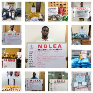 NDLEA Smashes Two Major Cocaine Cartels, Arrests Drug Kingpin, 25 Others Nationwide
