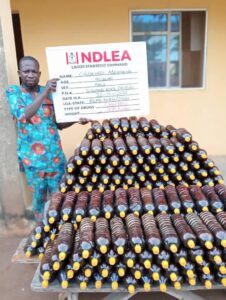NDLEA Uncovers Cocaine Hidden in Cream Jars, Raids Nightclub, Arrests 100 Suspects
