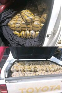 Troops Arrest Two Fake Police Officers, Intercept Vehicles Laden With Cannabis In Taraba