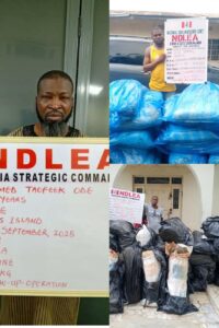 NDLEA Smashes Two Major Cocaine Cartels, Arrests Drug Kingpin, 25 Others Nationwide