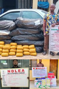 Businessman _Poos_ 127 Wraps Of Cocaine In NDLEA Custody