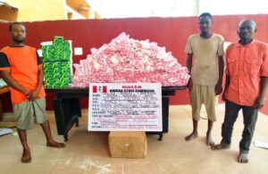 NDLEA Busts Clandestine Colos Lab in Lagos, Intercepts Loud Consignments Concealed in Bathtubs