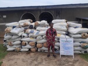NDLEA Busts Clandestine Colos Lab in Lagos, Intercepts Loud Consignments Concealed in Bathtubs