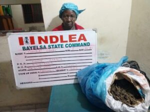 Wanted drug kingpin arrested en route to Saudi Arabia as NDLEA raids his clandestine lab in Lagos