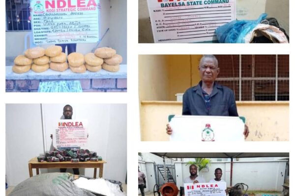 Wanted drug kingpin arrested en route to Saudi Arabia as NDLEA raids his clandestine lab in Lagos