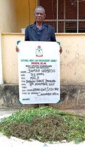 Wanted drug kingpin arrested en route to Saudi Arabia as NDLEA raids his clandestine lab in Lagos