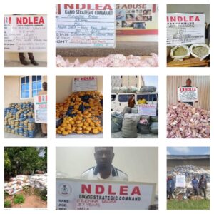 NDLEA Seizes 7.6 Million Tramadol Pills, Over 76 Tonnes Of Cannabis In Nationwide Crackdown