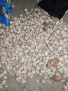 Troops Foil Terrorist Supply Run, Neutralise 17 Insurgents In Borno Ambush
