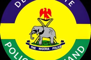 Delta Police Net Suspected Drug Baron, Two Women in Warri Raid