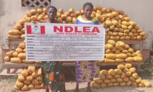 ‘Mama Kerosine’ Nabbed In Ibadan As NDLEA Detains 22 Indians Over N31.5kg Cocaine Seizure