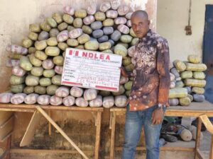 ‘Mama Kerosine’ Nabbed In Ibadan As NDLEA Detains 22 Indians Over N31.5kg Cocaine Seizure