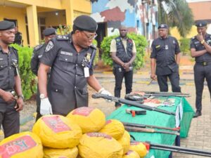 Delta Police Intensify Crackdown As Guns, Cultists, Drugs Fuel Crime