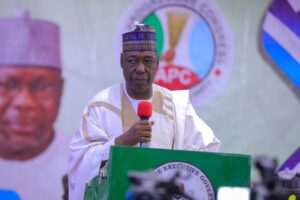 Gov Zulum Speaks On 2027 Succession