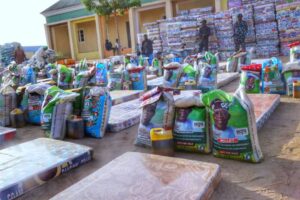 Another 705 Nigerian Refugees Voluntarily Return Home To Borno From Cameroon