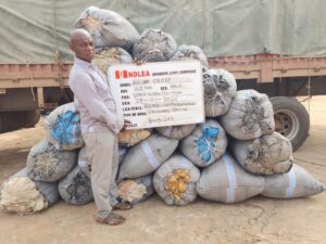 Cocaine in Shoes: NDLEA Busts Brazil Returnee, Uncovers Massive Drug Hauls Nationwide