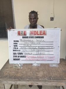 NDLEA Officer Killed in Bonny Island Drug Raid as Six Suspects Arrested