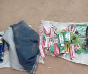 Troops Neutralise Scores Of Terrorists In North-East Offensive