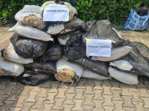 Delta Police Chronnicle Three Months of Kidnap Busts, Organ Trafficking, Ransom Recovered