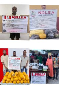 Nonagenarian, 93, Medic, 69, Snared In NDLEA’s Week-Long Drug Blitz