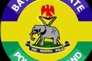 Bayelsa Police Debunks Report of Bandit Attacks