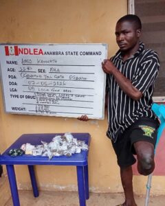 Three Disabled People Arrested in NDLEA Crackdown On Drug Rings