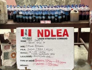 Three Disabled People Arrested in NDLEA Crackdown On Drug Rings