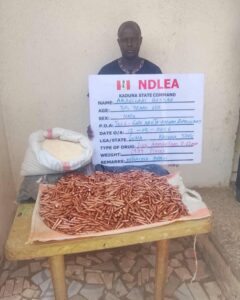 NDLEA intercepts cocaine, opioids hidden in carton walls for UK, Australia