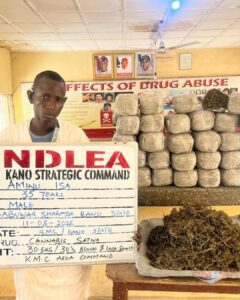 NDLEA intercepts cocaine, opioids hidden in carton walls for UK, Australia