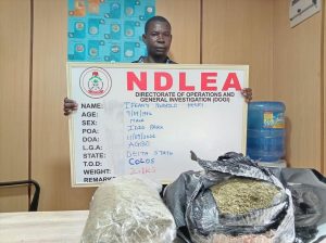 NDLEA intercepts colos shipments, uncovers opioids in loaves of bread