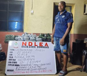 NDLEA intercepts colos shipments, uncovers opioids in loaves of bread