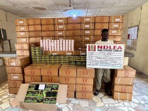 NDLEA intercepts colos shipments, uncovers opioids in loaves of bread